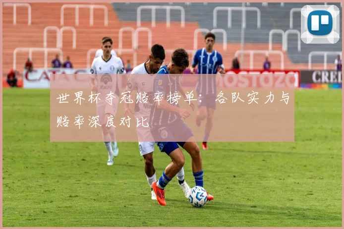 世界杯夺冠赔率榜单：各队实力与赔率深度对比